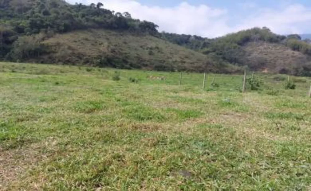Sítio, 3 quartos, 29 hectares - Foto 15