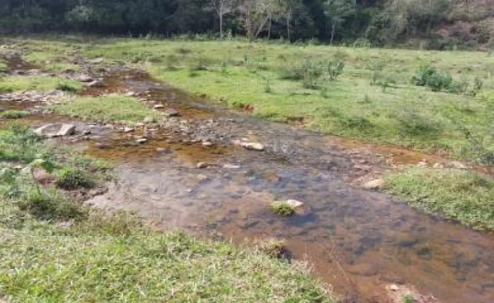 Sítio, 3 quartos, 29 hectares - Foto 9