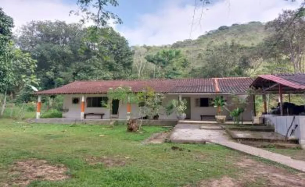 Sítio, 3 quartos, 29 hectares - Foto 1