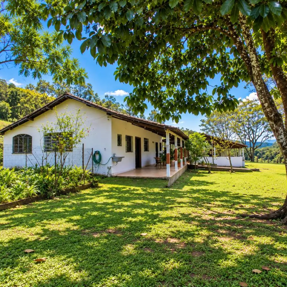 Sítio, 3 quartos, 29 hectares - Foto 2