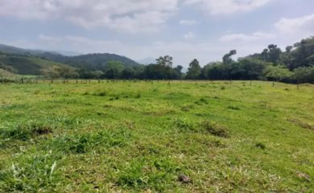 Sítio, 3 quartos, 29 hectares - Foto 17