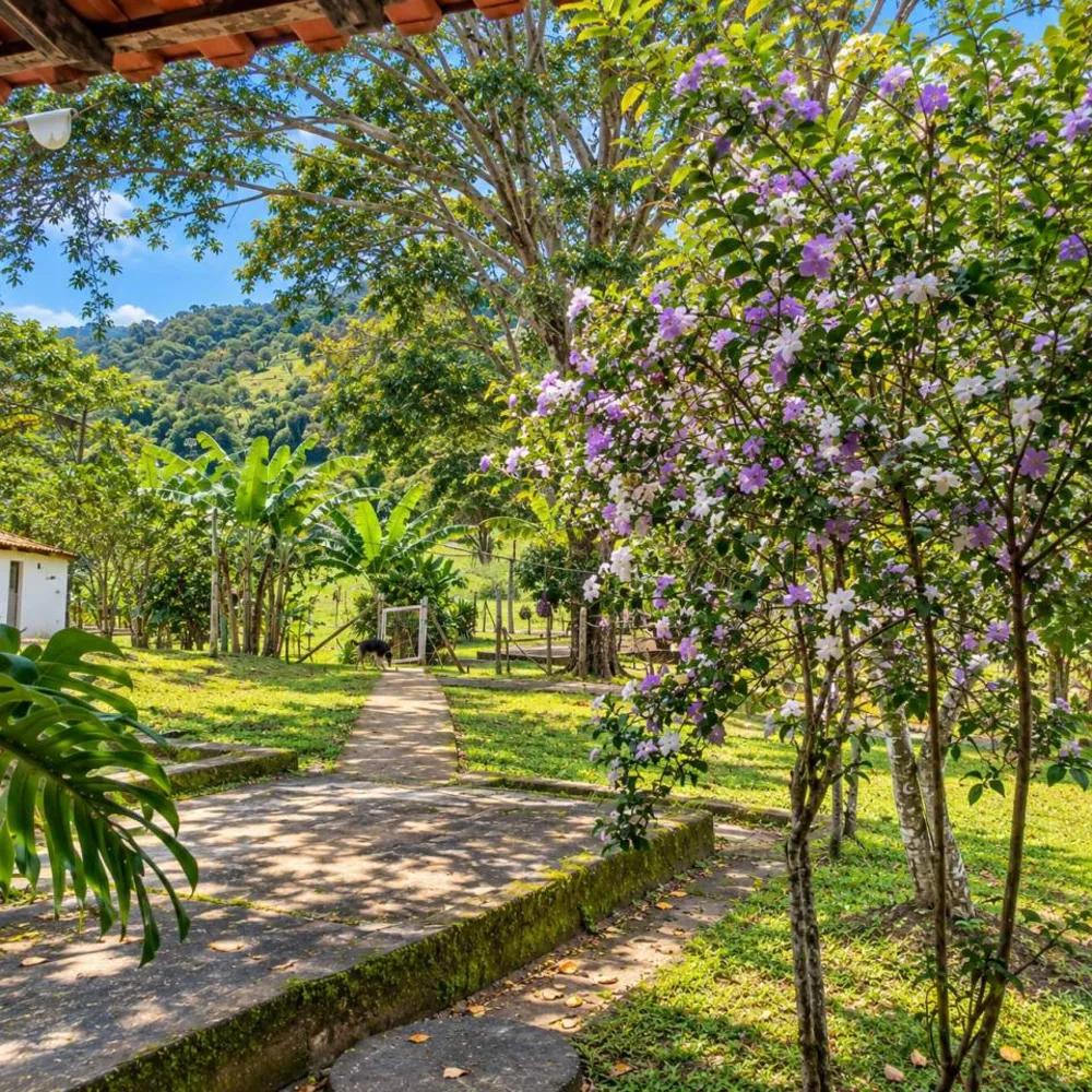 Sítio, 3 quartos, 29 hectares - Foto 36