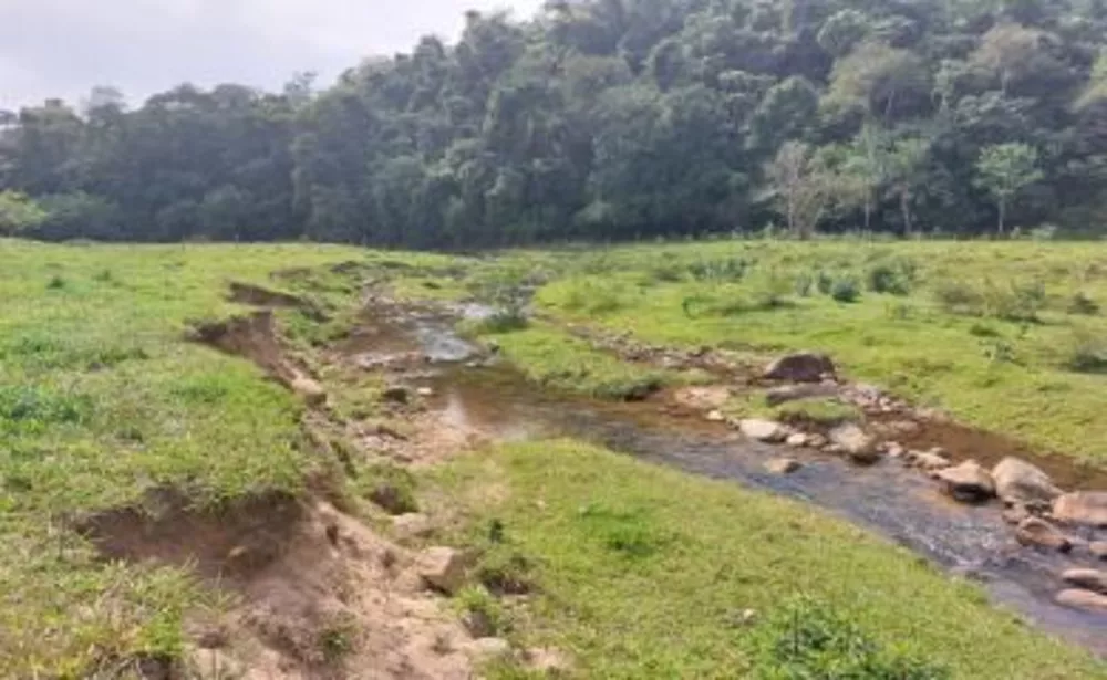 Sítio, 3 quartos, 29 hectares - Foto 24