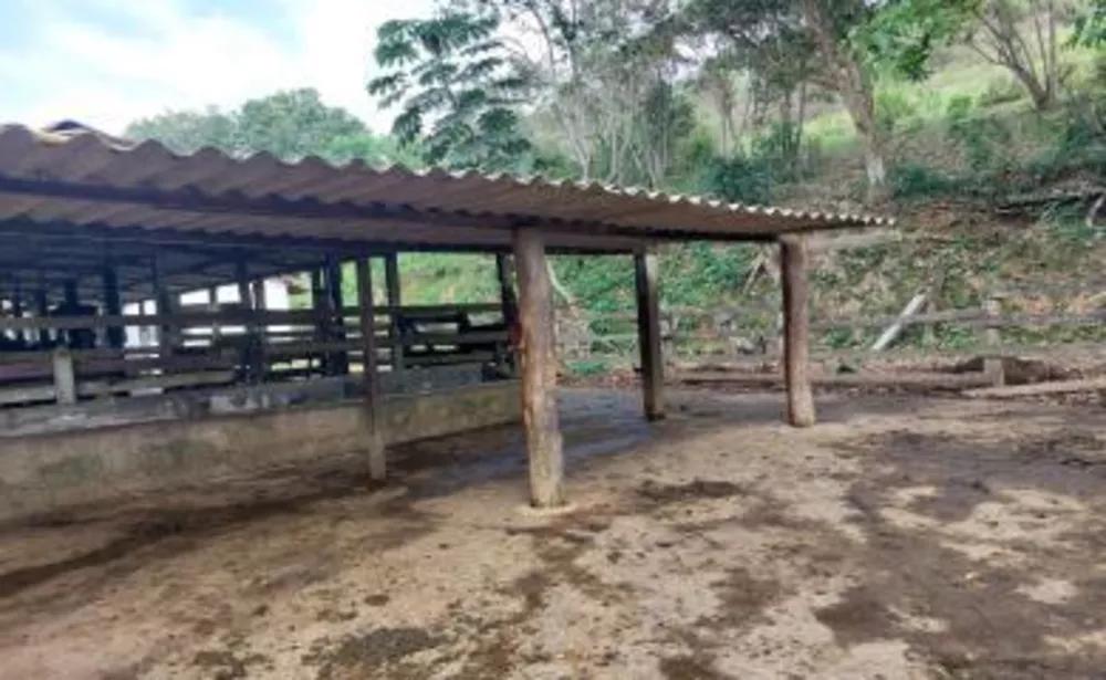 Sítio, 3 quartos, 29 hectares - Foto 30