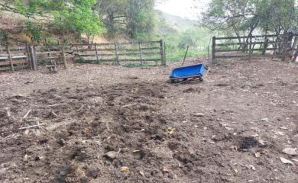 Sítio, 3 quartos, 29 hectares - Foto 31