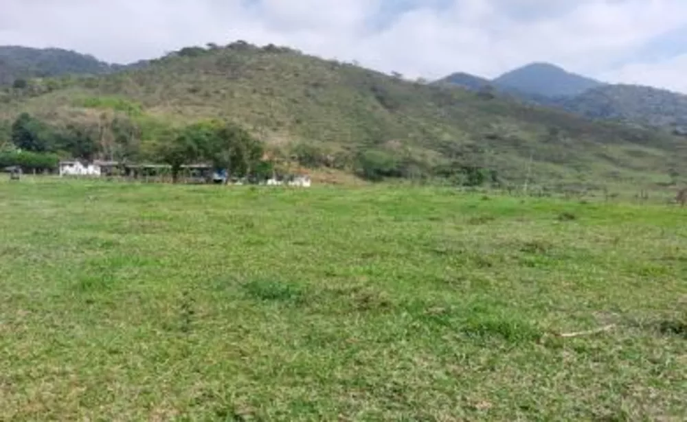 Sítio, 3 quartos, 29 hectares - Foto 16