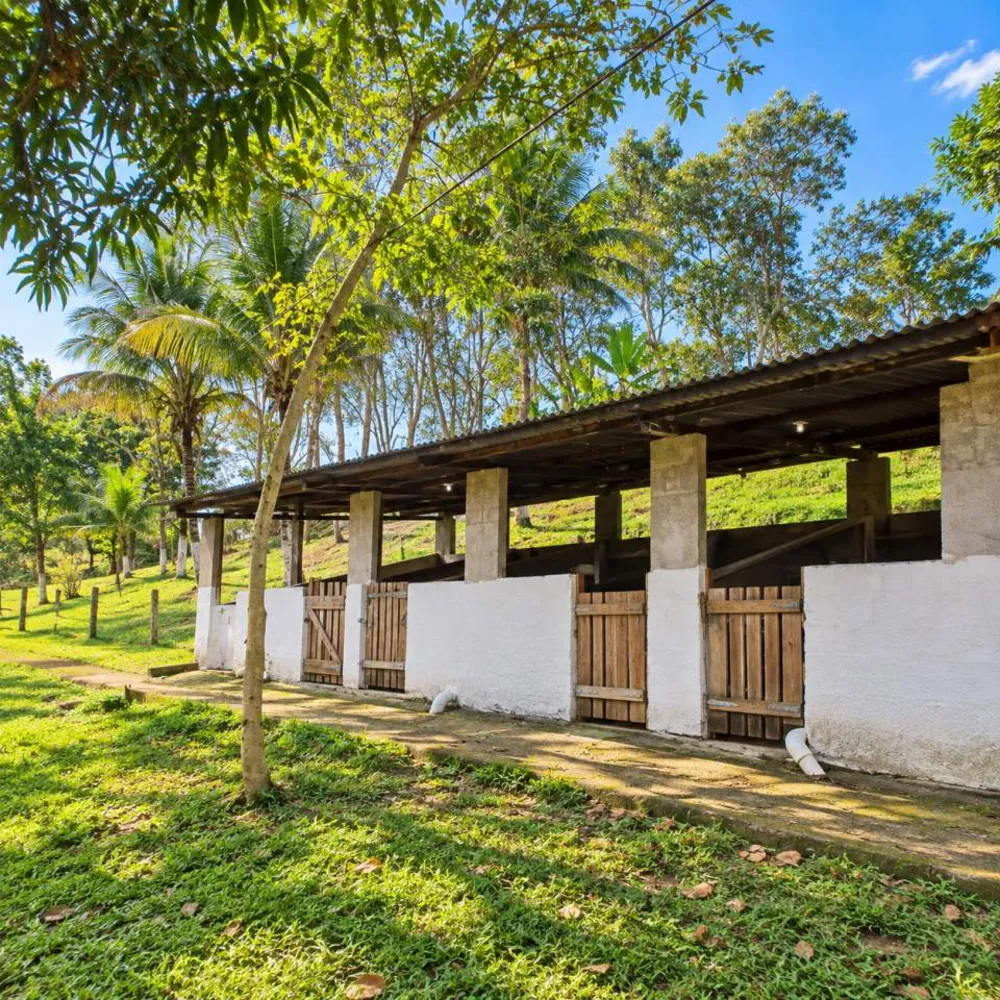 Sítio, 3 quartos, 29 hectares - Foto 12