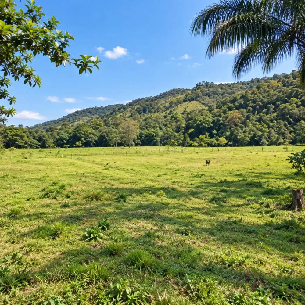 Sítio, 3 quartos, 29 hectares - Foto 48