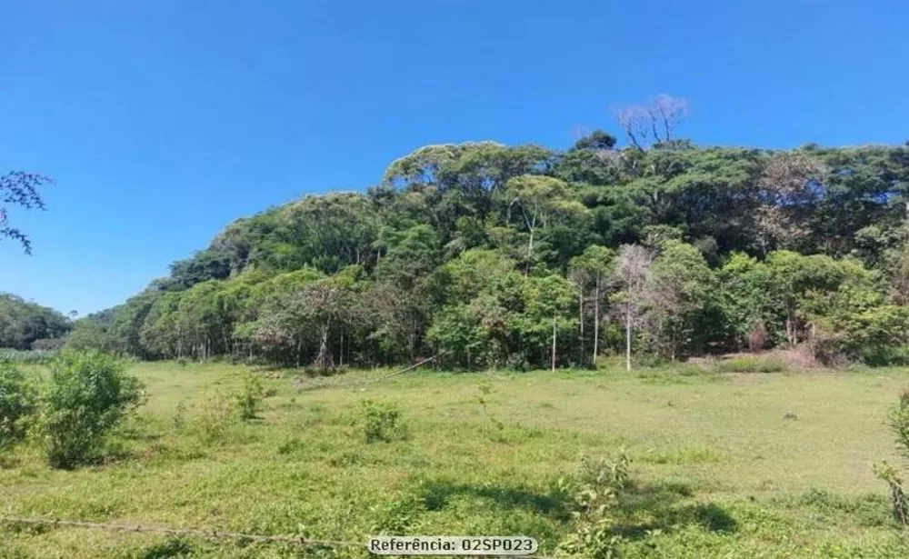 Sítio, 2 quartos, 11 hectares - Foto 6