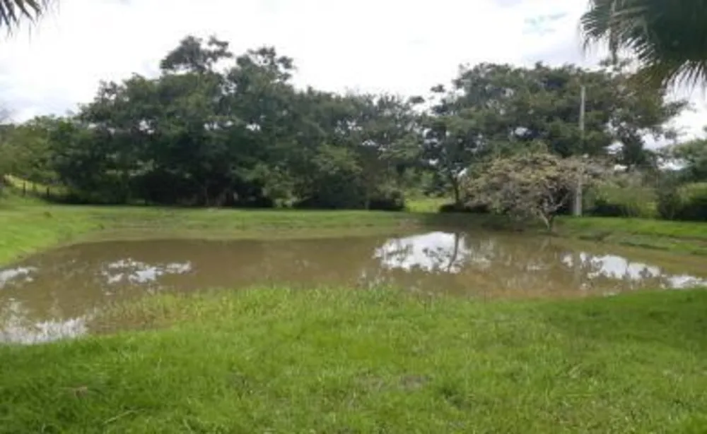 Sítio, 4 quartos, 16 hectares - Foto 5