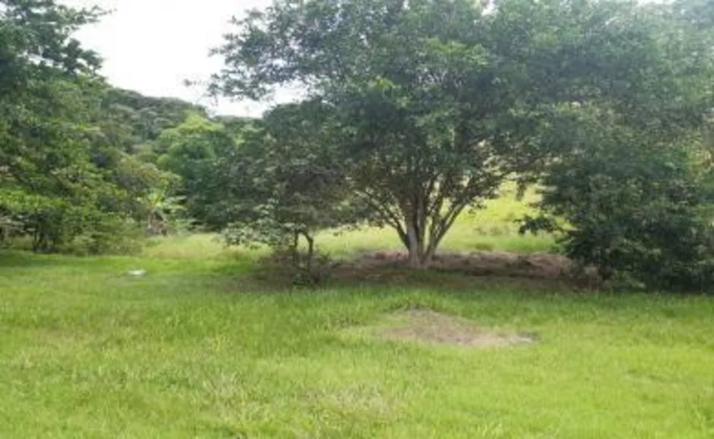 Sítio, 4 quartos, 16 hectares - Foto 10