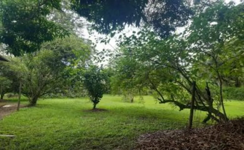 Sítio, 4 quartos, 16 hectares - Foto 9