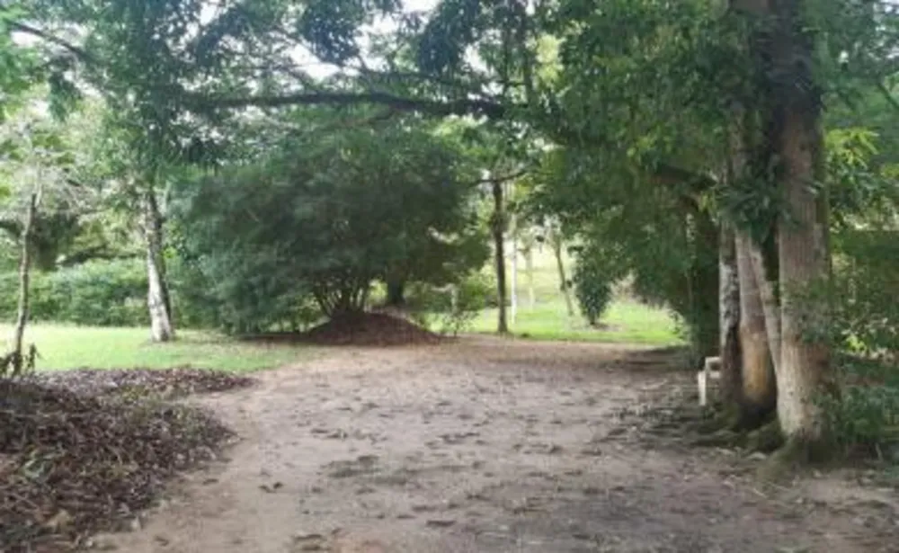 Sítio, 4 quartos, 16 hectares - Foto 18