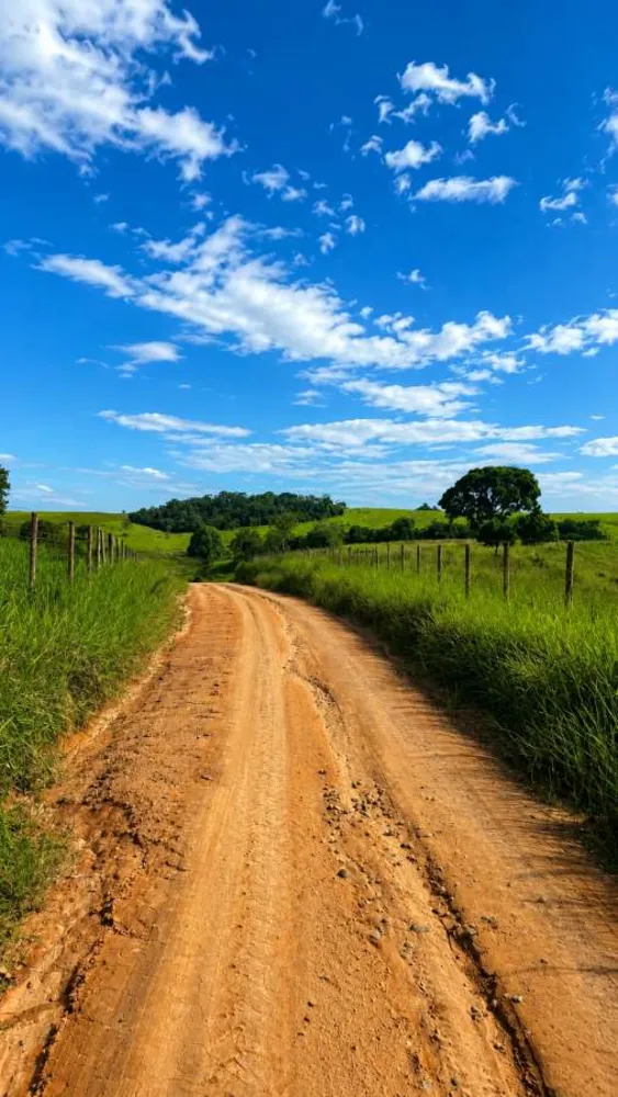 Fazenda, 38 m² - Foto 4