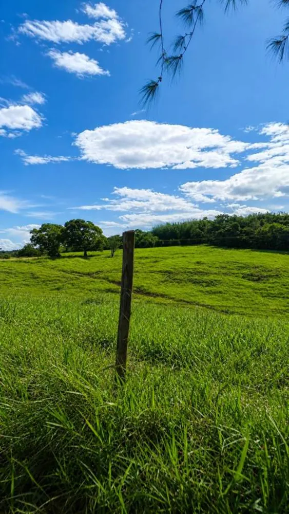 Fazenda, 38 m² - Foto 3