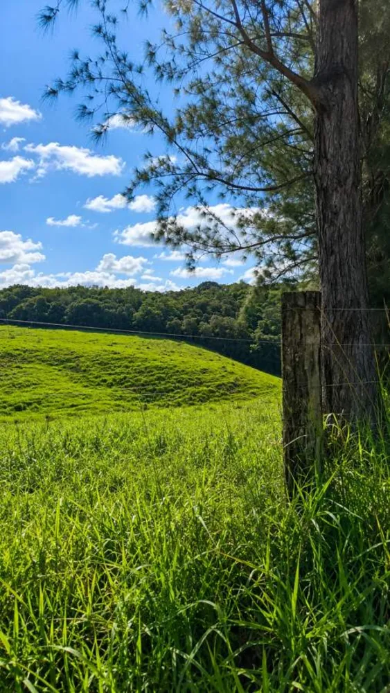 Fazenda, 38 m² - Foto 6