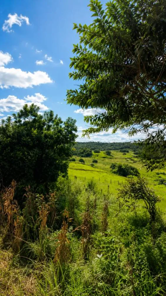Fazenda, 38 m² - Foto 8