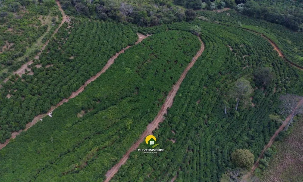Fazenda, 29 hectares - Foto 3