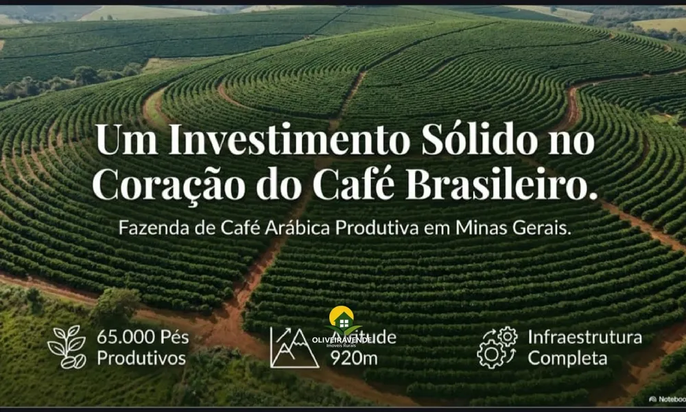 Fazenda, 29 hectares - Foto 1
