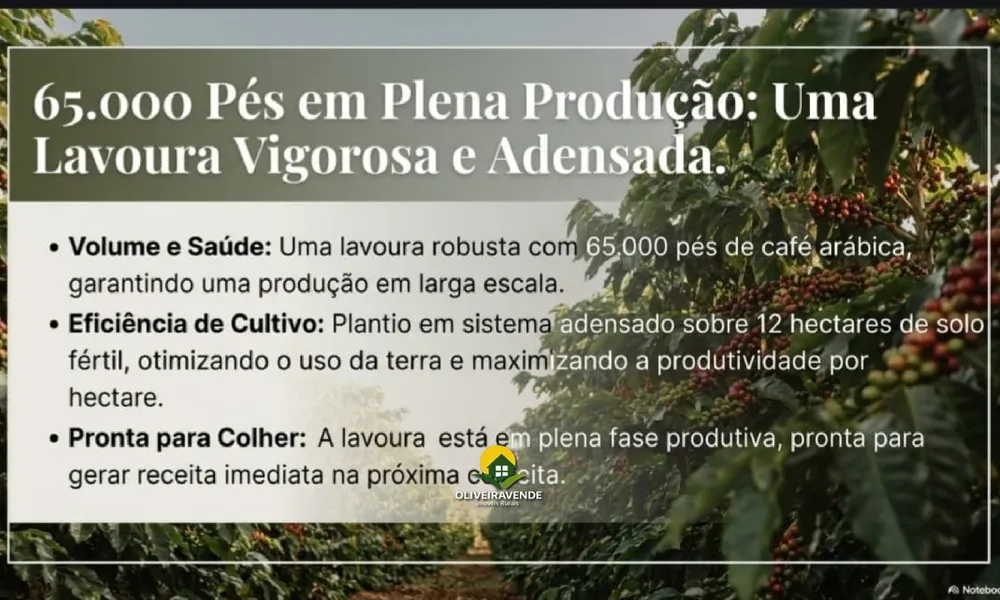 Fazenda, 29 hectares - Foto 12