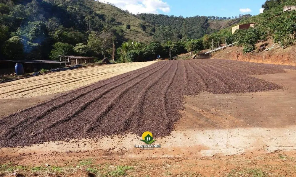 Fazenda, 29 hectares - Foto 6