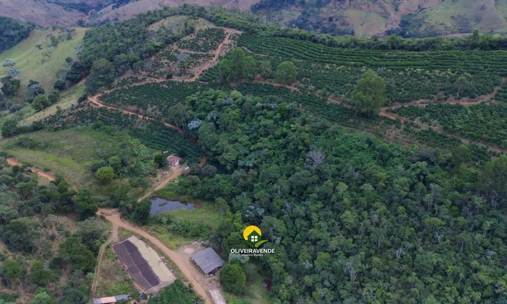 Fazenda, 29 hectares - Foto 2