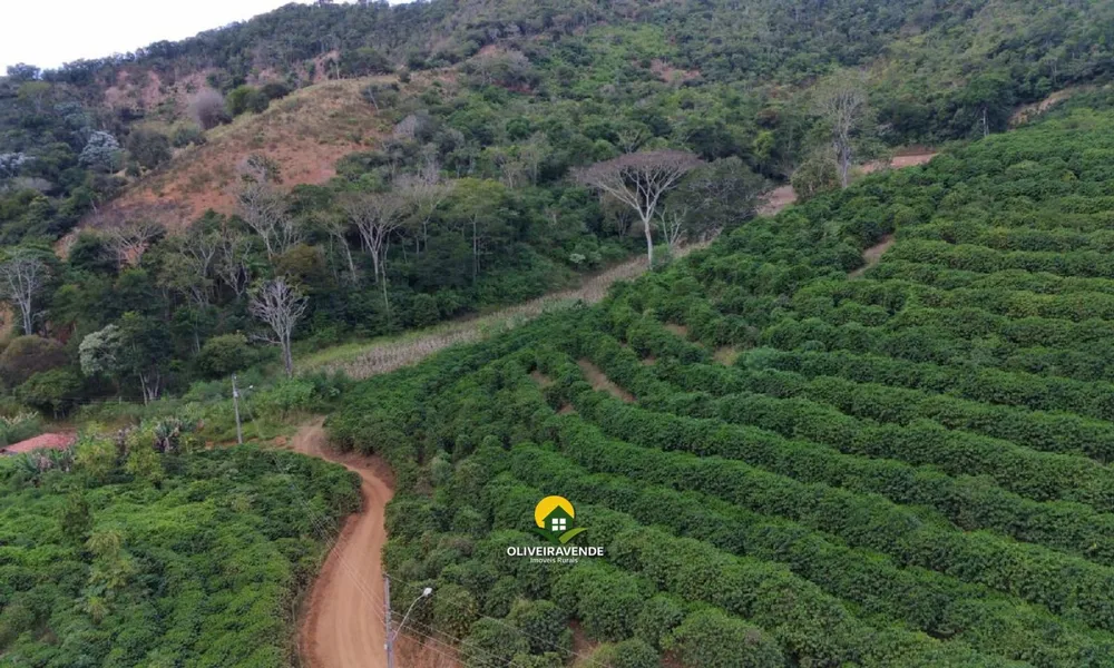 Fazenda, 29 hectares - Foto 4
