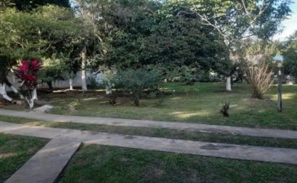 Sítio, 3 quartos, 3500 m² - Foto 14