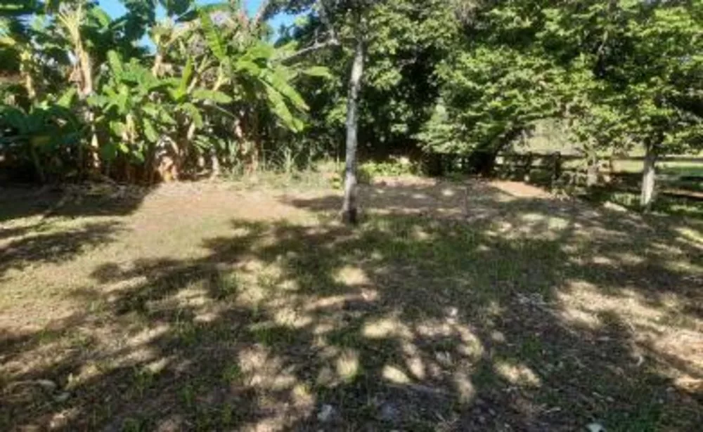 Sítio, 3 quartos, 3500 m² - Foto 1