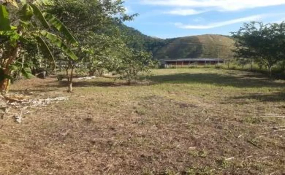 Sítio, 3 quartos, 3500 m² - Foto 6