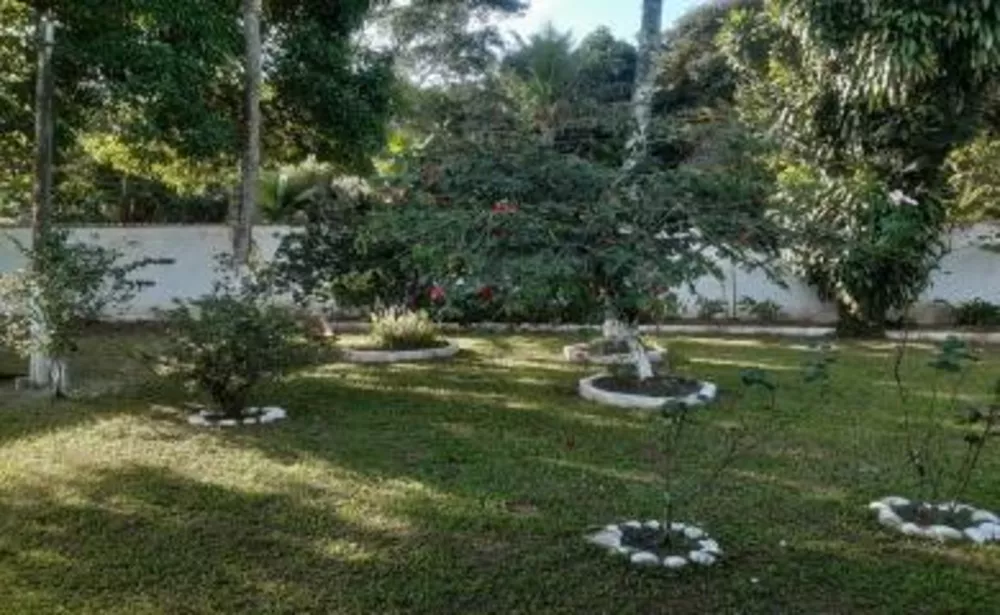 Sítio, 3 quartos, 3500 m² - Foto 3