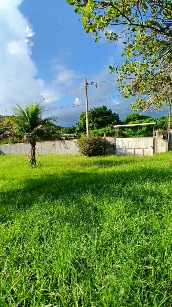 Chácara, 2 quartos, 2000 m² - Foto 14