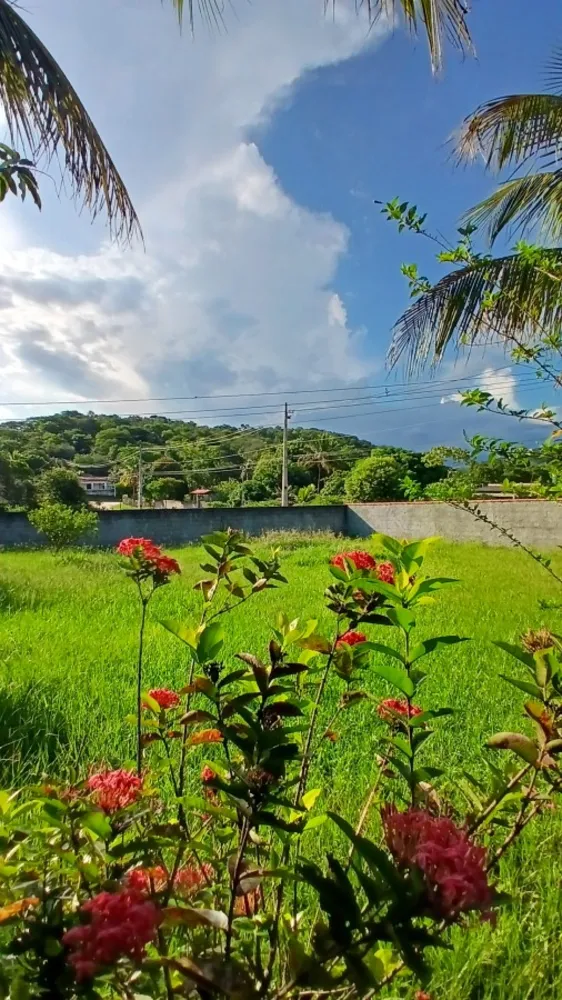 Chácara, 2 quartos, 2000 m² - Foto 4