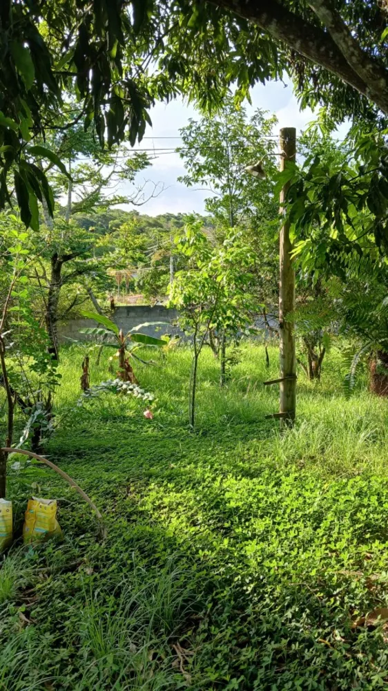 Chácara, 2 quartos, 2000 m² - Foto 3