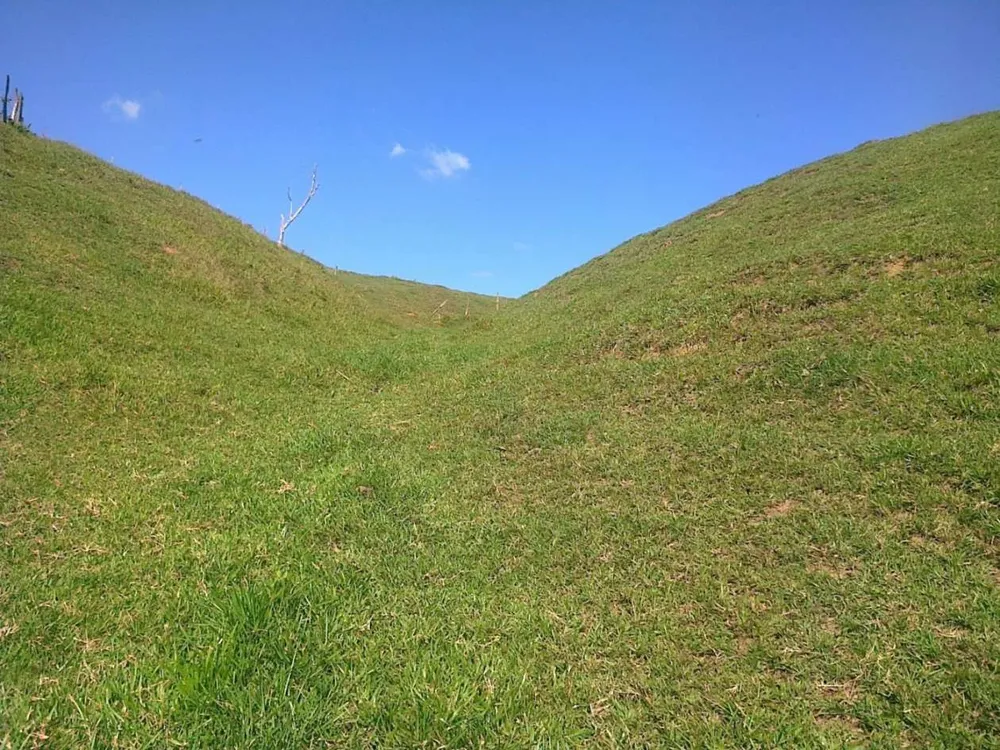 Fazenda, 22 hectares - Foto 19