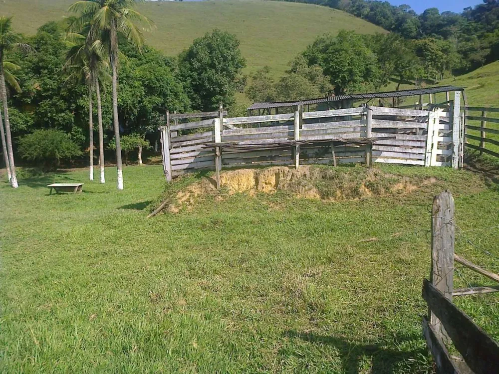 Fazenda, 22 hectares - Foto 4