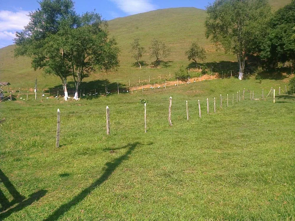 Fazenda, 22 hectares - Foto 5
