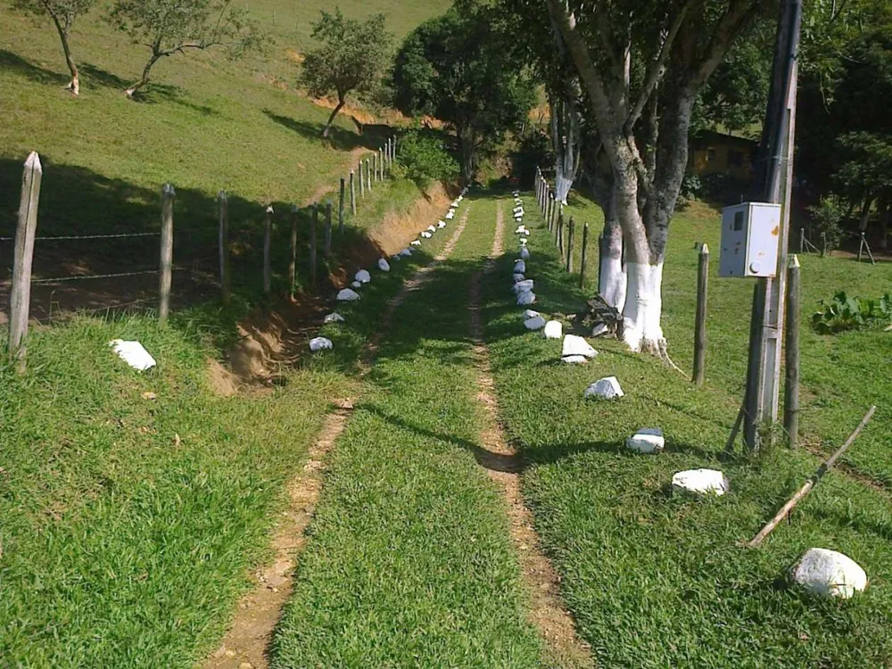 Fazenda, 22 hectares - Foto 13
