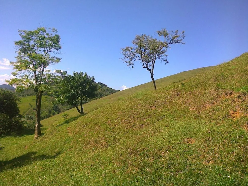 Fazenda, 22 hectares - Foto 12