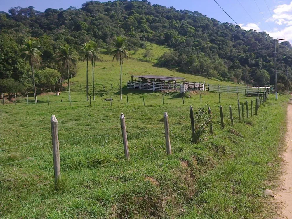 Fazenda, 22 hectares - Foto 24