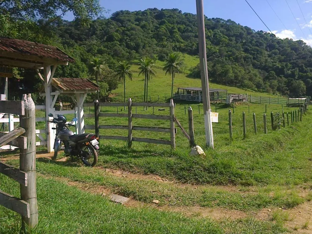 Fazenda, 22 hectares - Foto 3