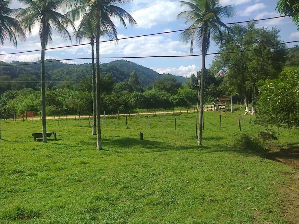Fazenda, 22 hectares - Foto 14