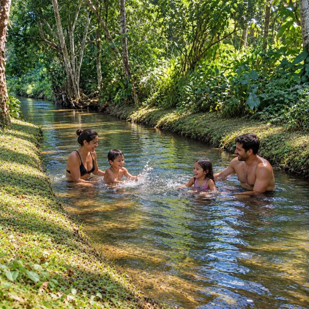 Chácara, 2 quartos, 2 hectares - Foto 6