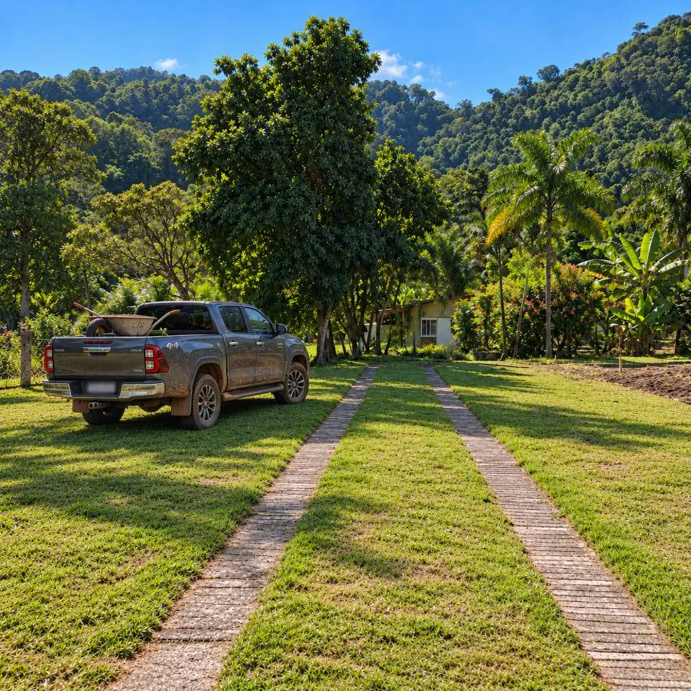 Chácara, 2 quartos, 2 hectares - Foto 32
