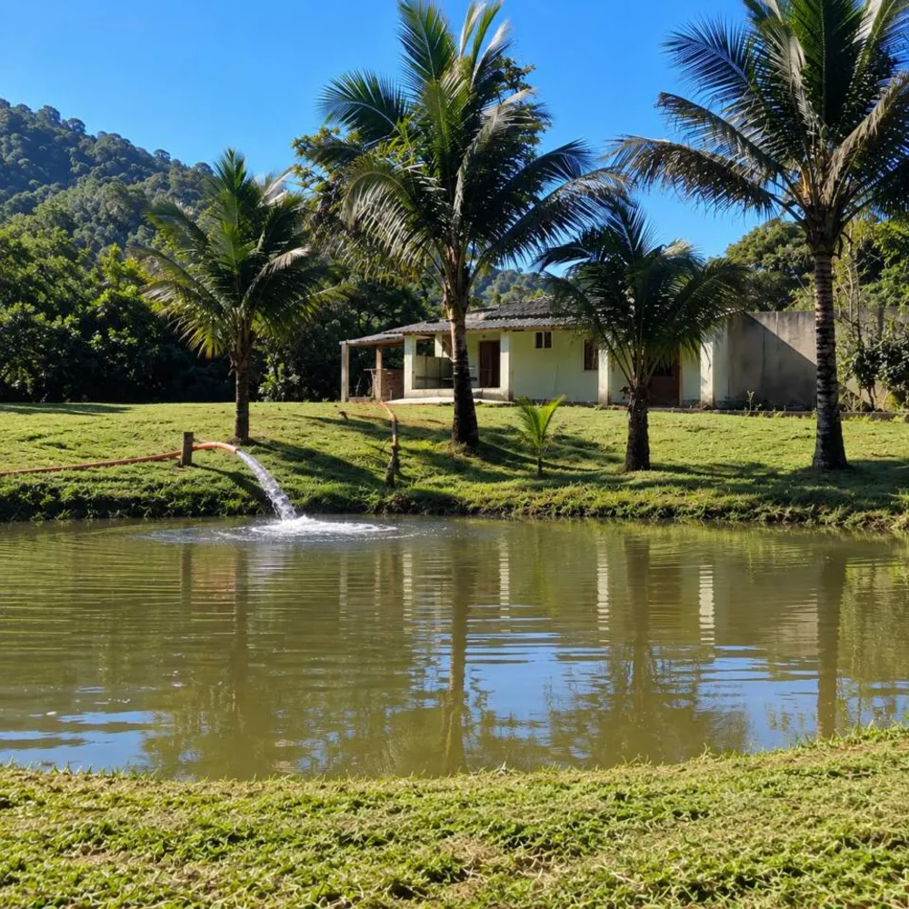 Chácara, 2 quartos, 2 hectares - Foto 28