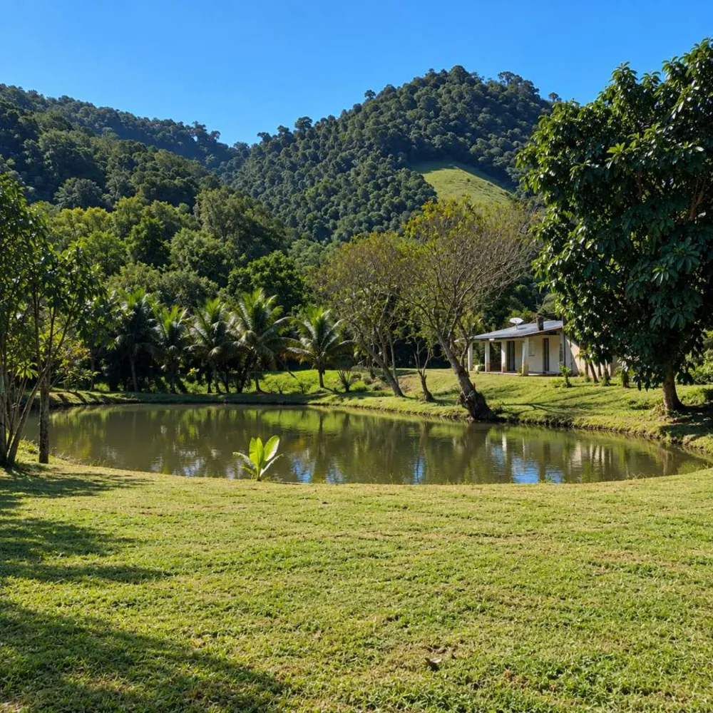 Chácara, 2 quartos, 2 hectares - Foto 14