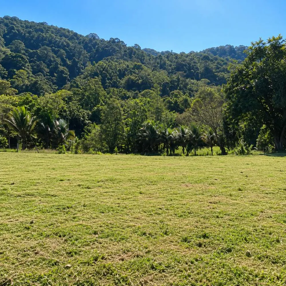 Chácara, 2 quartos, 2 hectares - Foto 16