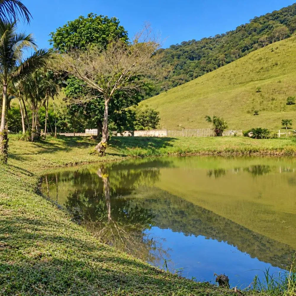 Chácara, 2 quartos, 2 hectares - Foto 26