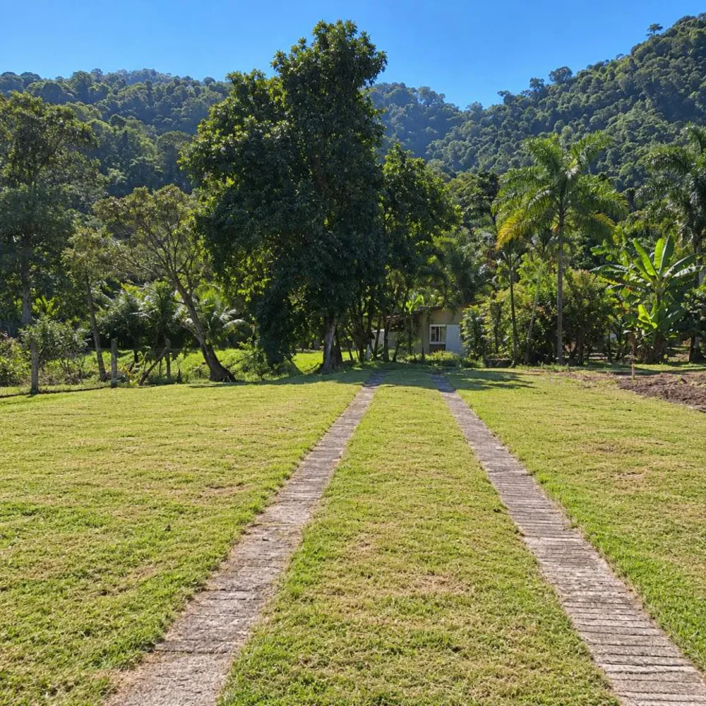 Chácara, 2 quartos, 2 hectares - Foto 10