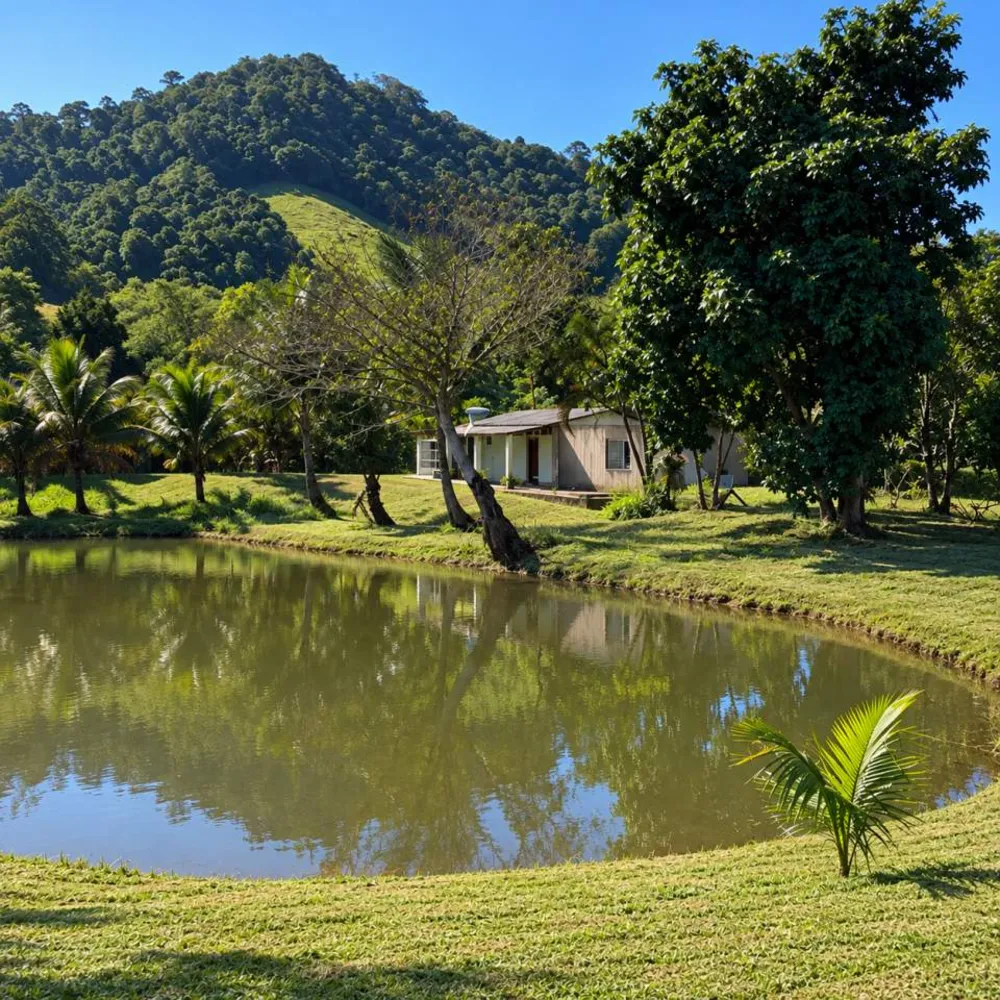 Chácara, 2 quartos, 2 hectares - Foto 12